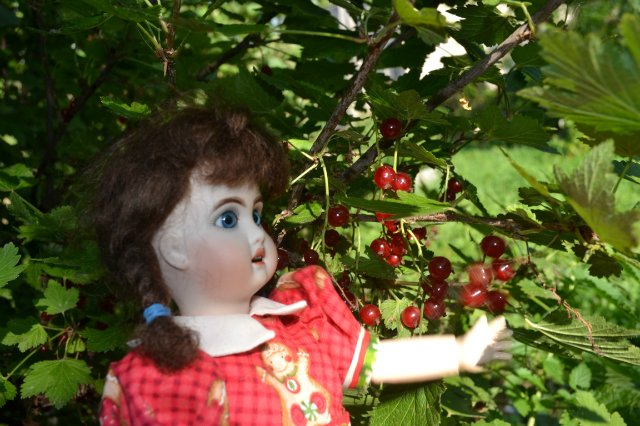 Мое новое увлечение: антикварные куклы (и реплики)
