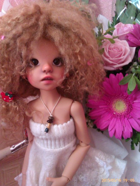 Моя новая звездочка - Лайла. Ну и вся банда вместе