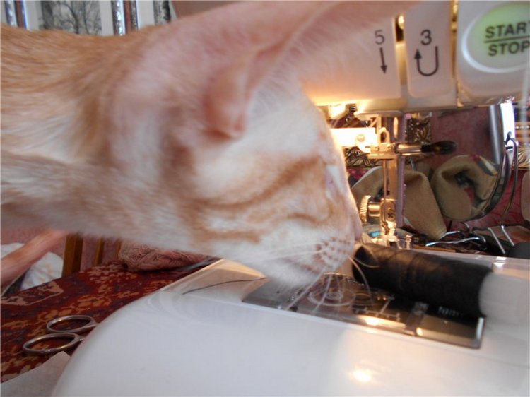 Как я с помощниками шила наряд для Аделины (фото 10)