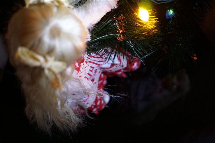 Еще одна Красная Шапочка — Куклы Iplehouse (Иплхаус): BJD (БЖД) (фото 2)