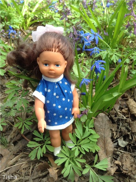 Маленькие садовники или весна в Аптекарском огороде