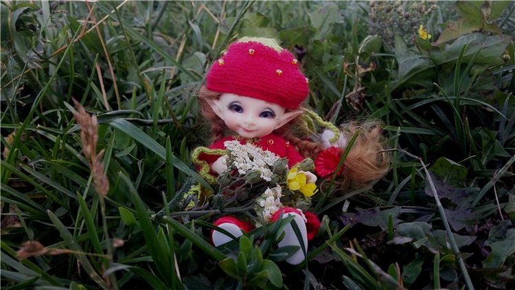 Земляничный день — Домашние коллекции кукол: фото собраний