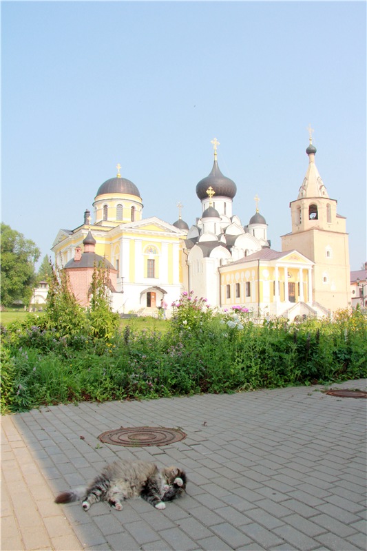 Старицкий православный фотофестиваль. Старицкий Свято-Успенский монастырь