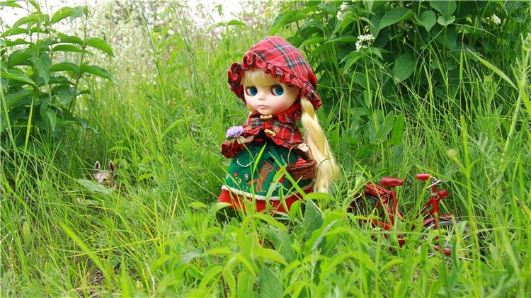 Путешествие в Сказку — Оригинальные куклы Blythe (Блайз): Takara
