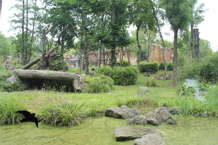 По Германии: зоопарк Лейпцига, часть 3