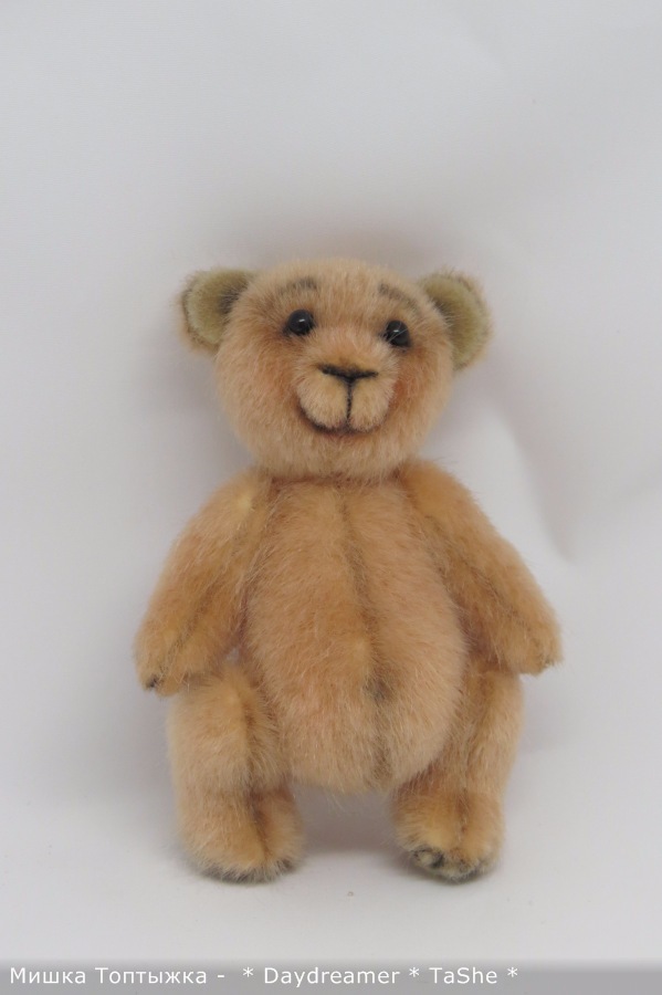 Позитивный мишка по имени Топтыжка (фото 2)