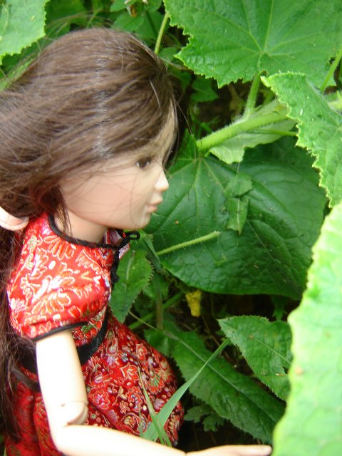 Компромисс: моя первая БЖД: Люси - Senson doll, в гостях на даче (фото 8)