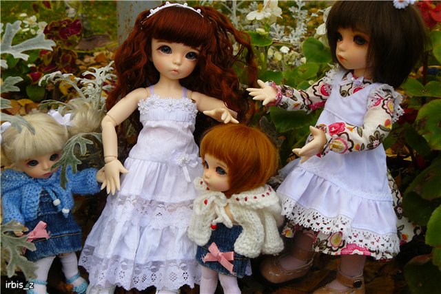 Вот так погуляли или Как у нас появилась кукла БЖД LittleFee Ante Elf