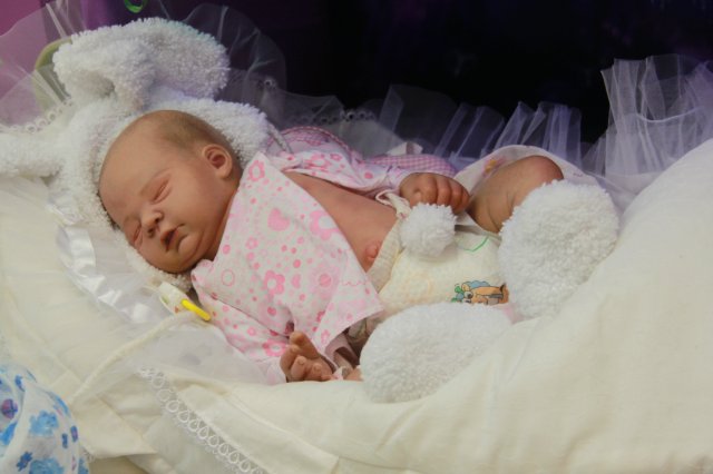 Мои двойняшки-кукла реборн Элины Кудрявцевой