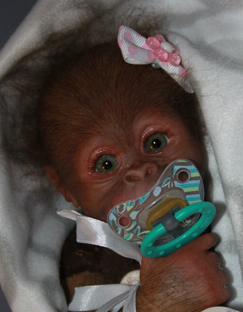 Бонька, обезьянка реборн Элины Кудрявцевой