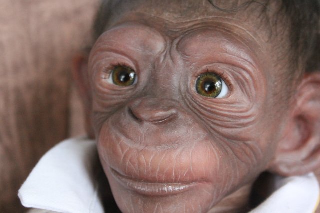 Гога, он же Гоша,он же Гора, он же Жора, здесь проживает? кукла реборн Элины Кудрявцевой