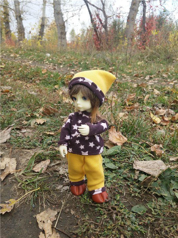 Осенний олененок — Куклы Fairyland (ФэйриЛэнд): BJD (БЖД) (фото 8)