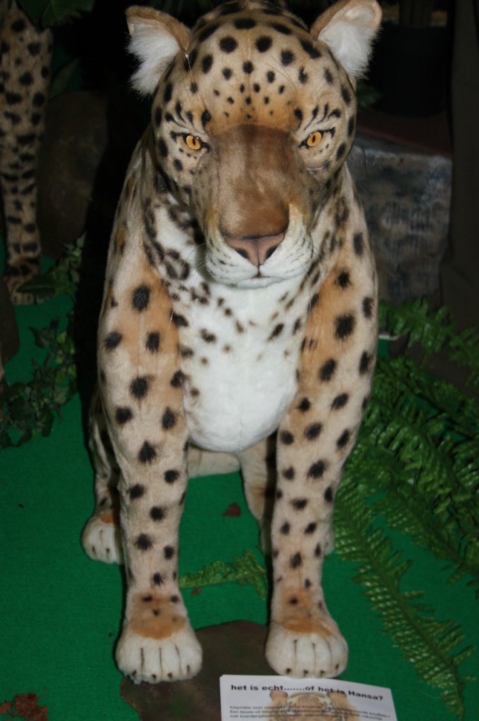 Выставка кукол, мишек тедди, кукольных домиков и миниатюры в Нидерландах. Заключение