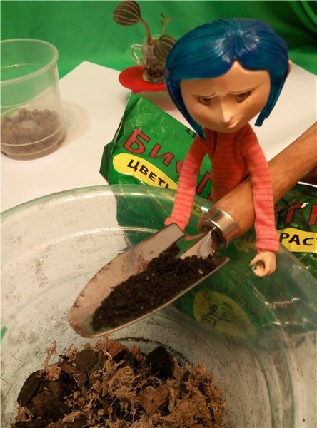 Мама любит куколок и цветочки | Бэйбики Мама любит куколок и цветочки