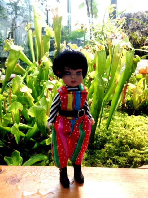 Прогулка по парку с этническими куколками Adora, Tonner, Oldenburg, Creedy