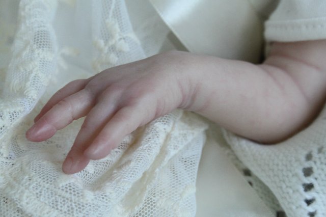 Виктория кукла-реборн Элины Кудрявцевой (фото 6)