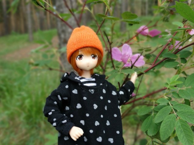 Прогулка в прохладный день | Бэйбики Прогулка в прохладный день