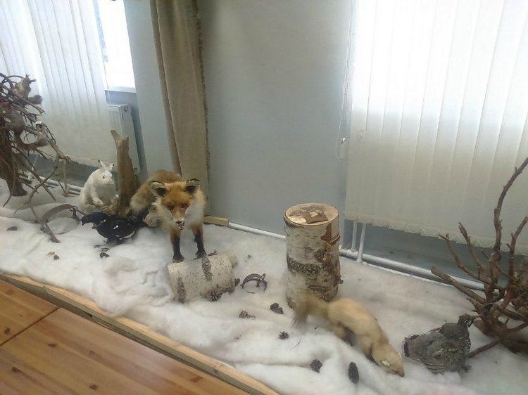 Воткинск — родина гения музыки Петра Ильича Чайковского. Часть 3 (фото 3)