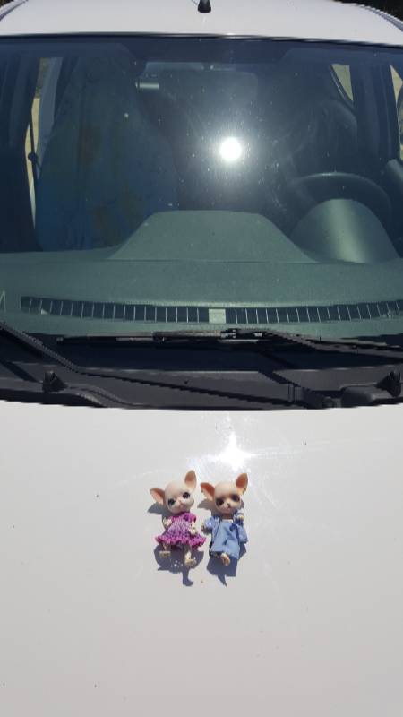 Новое путешествие Панг-Панга