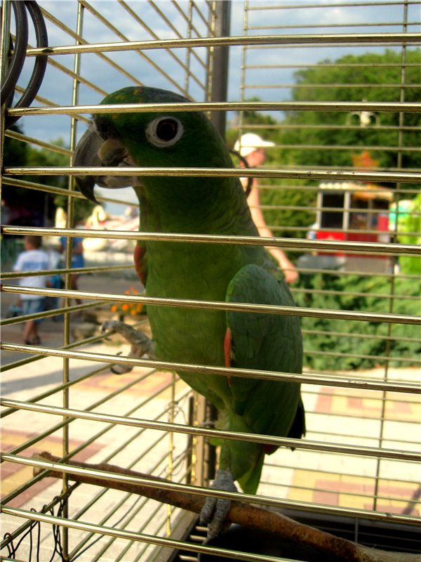 Лето. Солнце. Море. Всё смешалось - звери, куклы. Часть2 | Бэйбики Лето. Солнце. Море. Всё смешалось - звери, куклы. Часть2