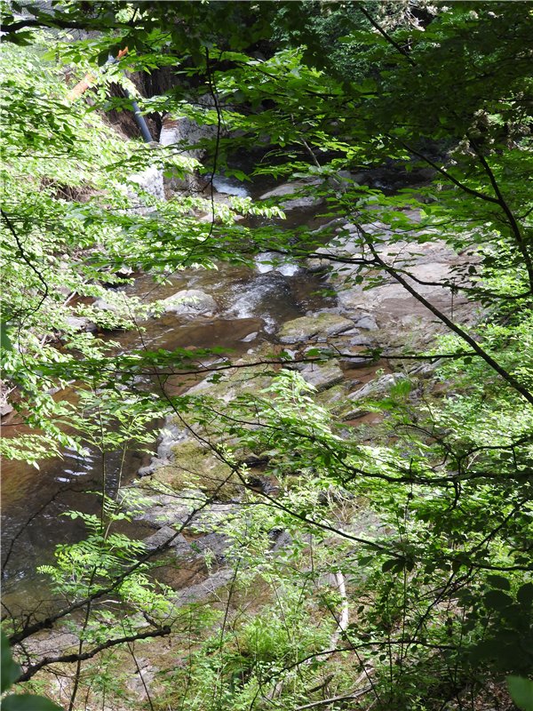 Любителям маленьких кукол