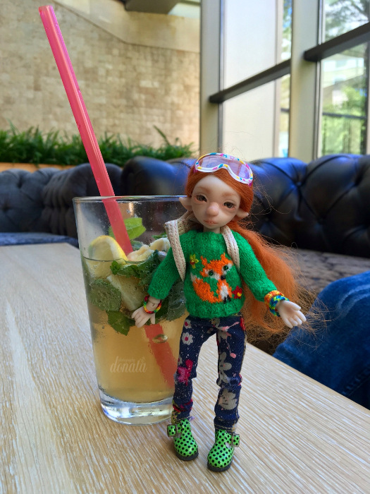 Как Фиби в отпуск съездила. Авторская бжд-мышка Лидии Снуль