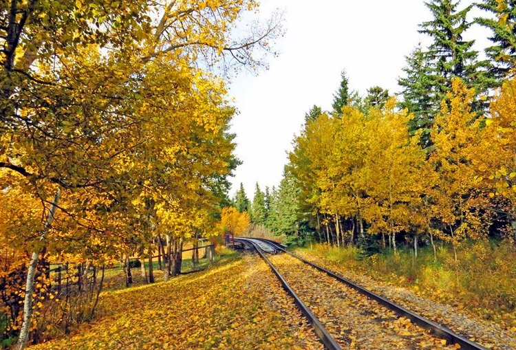 Красотка-осень — Болталка и разговоры обо всем: жизнь