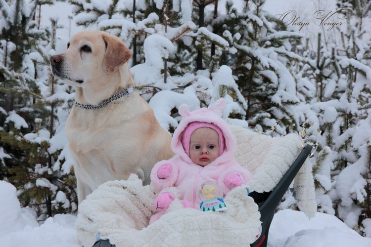 Моя Хлоя, мой любознательный Совенок, кукла реборн Олеси Венгер