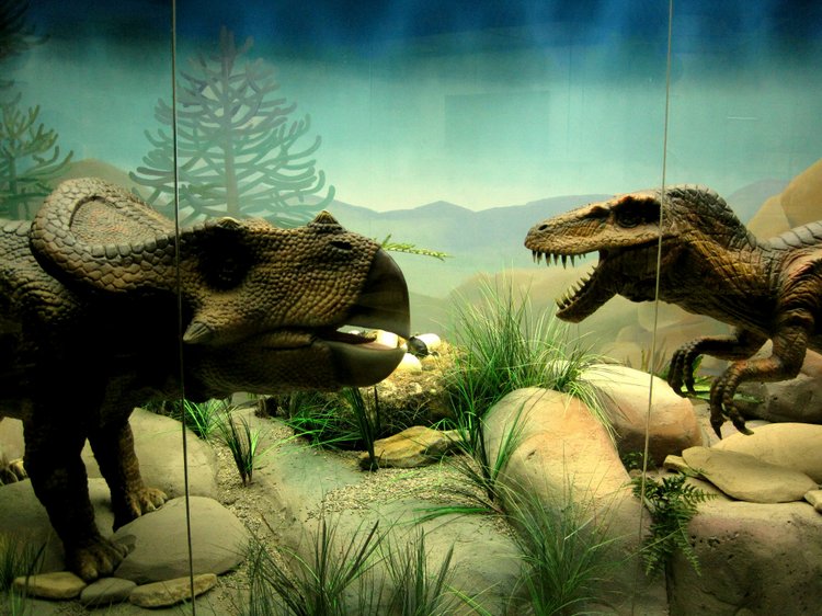 День в музее. Анжела в Государственном Дарвиновском музее