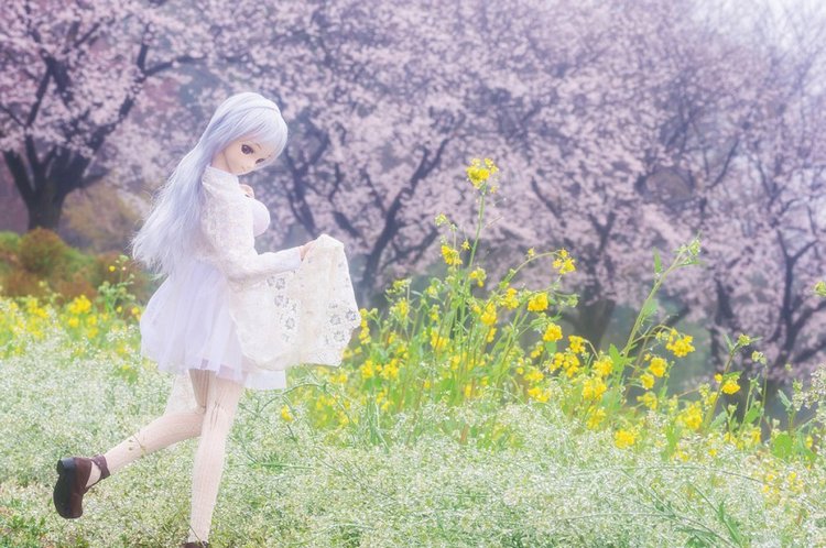 Красивые волшебные фотографии кукол от Azure Япония