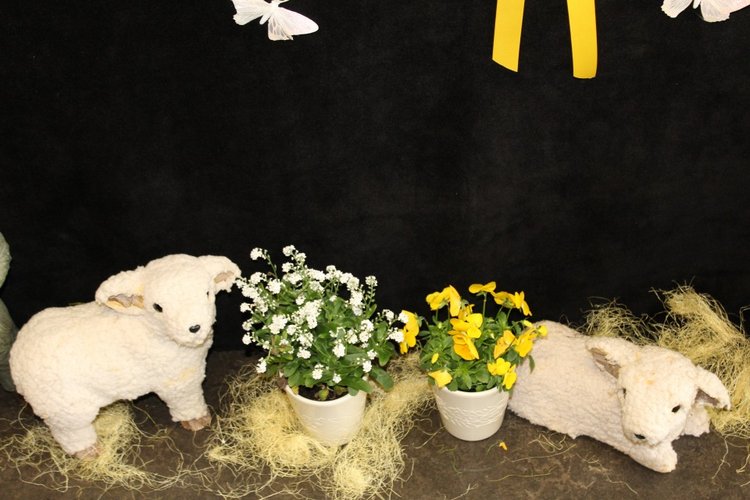 Пасхальная встреча в магазине кукол Гюнзел. Новая коллекция из резин 2017. Mila i Robin