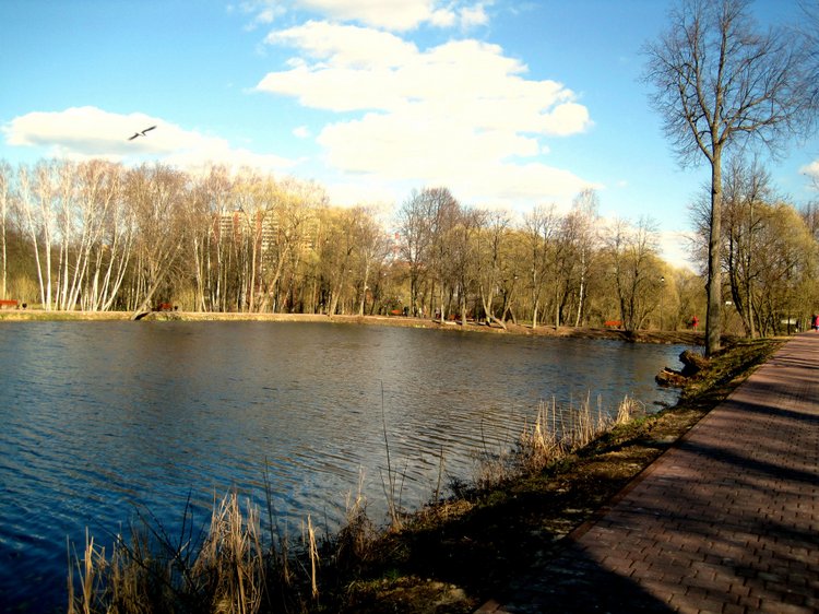 Прогулка в парке. Галочка - коллекционная куколка Дианы Эффнер