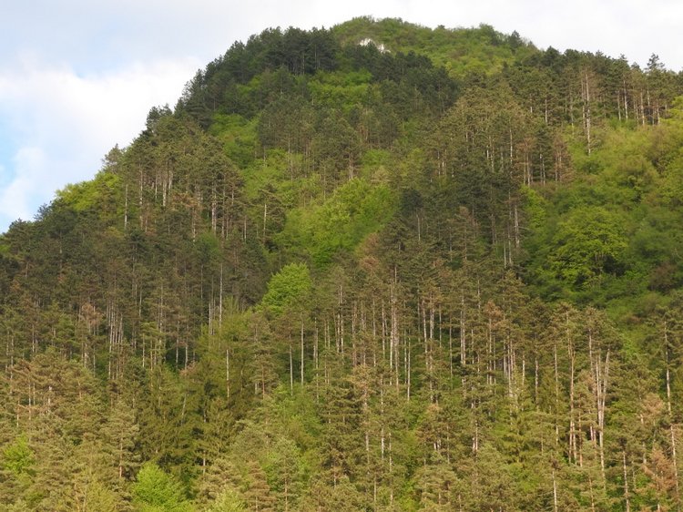 Словения, Светланка и маленький «герой» в одном ботинке