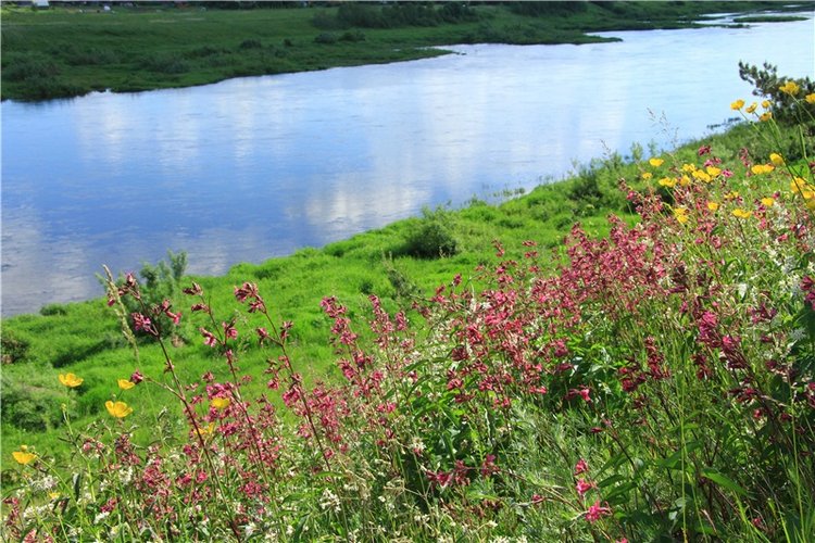 Нежный Июнь — Антикварные куклы Simon & Halbig (S&H): Симон Хальбиг (фото 5)