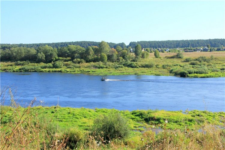 Просто Соня. Уникальные куклы от Сильвии Наттерер | Бэйбики Просто Соня. Уникальные куклы от Сильвии Наттерер (фото 9)