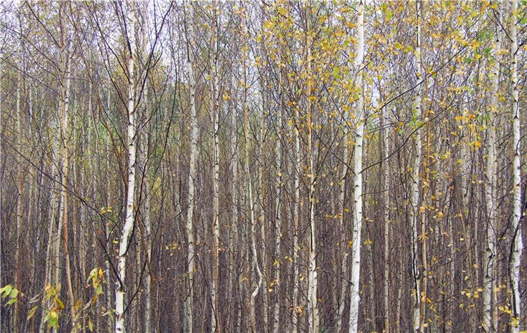 Тверской Водопад — Туризм и путешествия: фотоотчеты из поездок