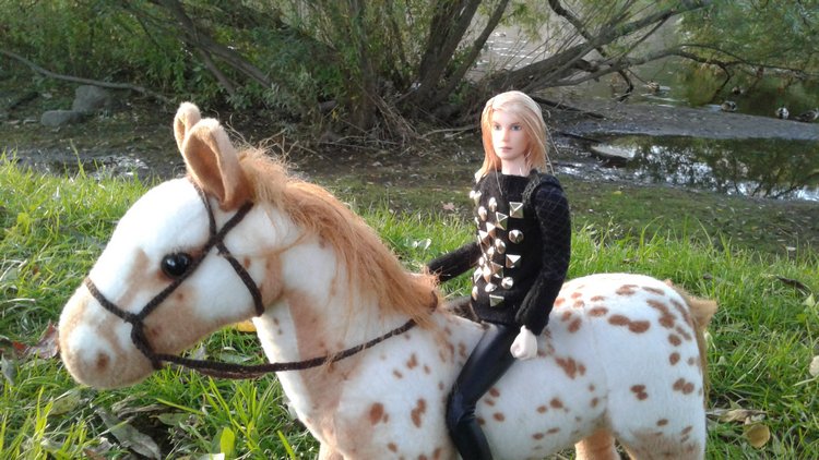 Зимнее солнце. Глава 6. Дом там, где сердце