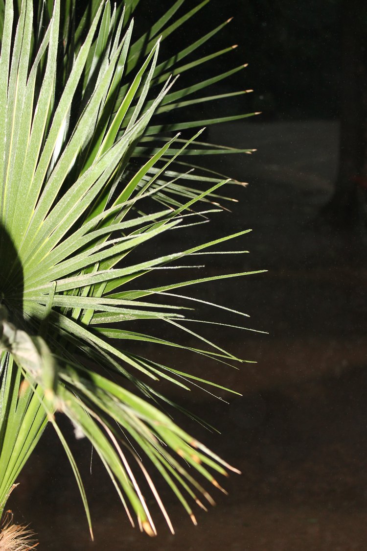 По Германии: зоопарк Лейпцига, часть 3