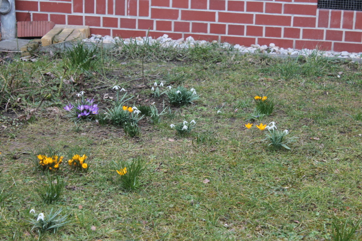 По Германии: весна в Лейпциге (фото 4)