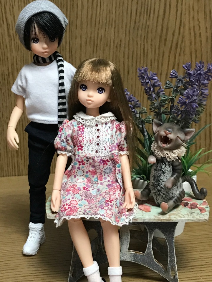 Крошки Руроко — Куклы Momoko и Ruruko (Petworks (фото 7)