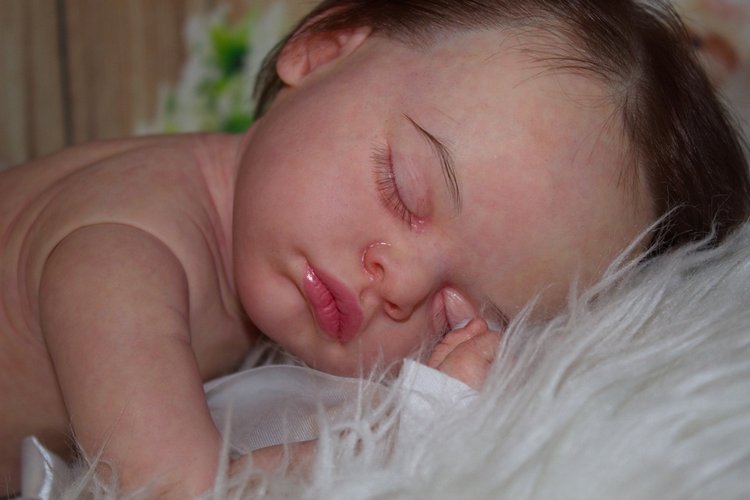 А у нас пополнение! И нас очень много