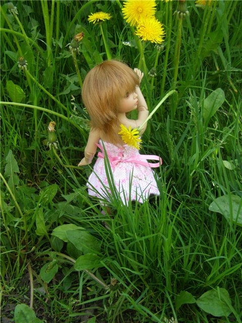 Воскресная прогулка (заключительная часть)