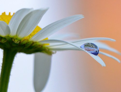 Ключи от лета или Полевица. Коллекционная кукла Элизы Глазгольд