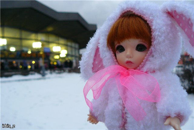 Вот так чудеса или как Ариэль в Большой Московский Цирк ходила. PukiFee Ante Ариэтти, PukiFee Bonnie Ариэль (фото 2)