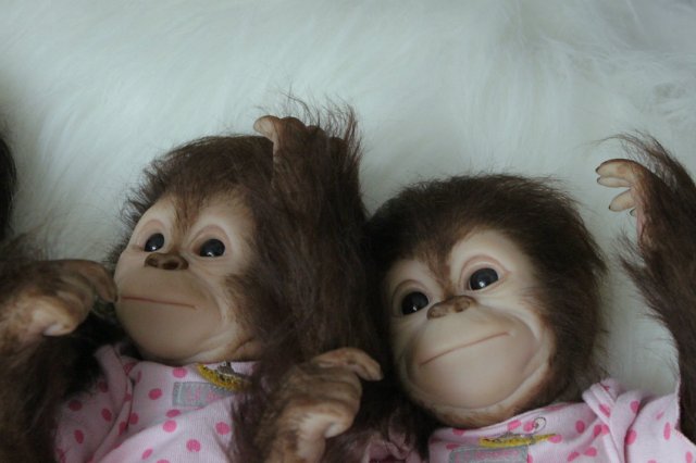 Развеселая компания (или мини-зоопарк)! Куклы реборн Вишни Виктории