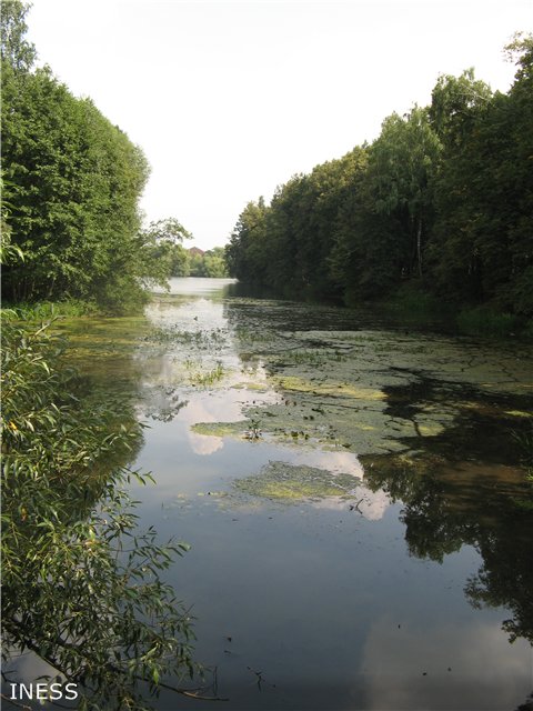 Мои винтажные куколки. Продолжение, Копытки