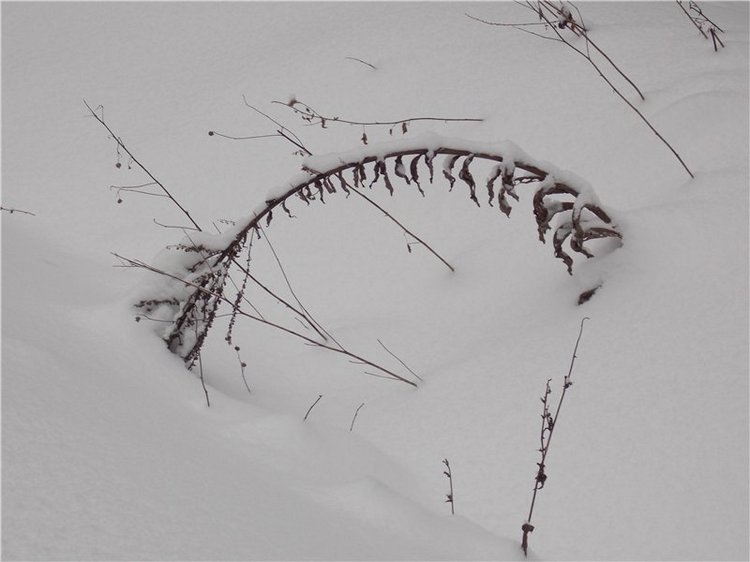 Тропинки Куш - Тау или Варваркины выходные