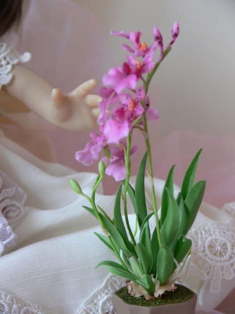 "Маленькая мамочка" Dianna Effner