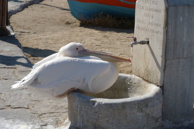 Кусочки моей Греции — Болталка и разговоры обо всем: жизнь