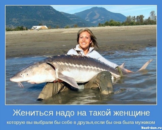 67 день года или Трубка пятнадцать, прицел сто двадцать. Предпраздничная болталка